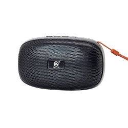 DV-1130 Wireless Speaker (black)
