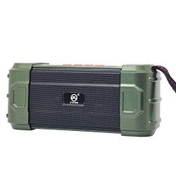 DV-219 Mini Wireless Speaker (green)