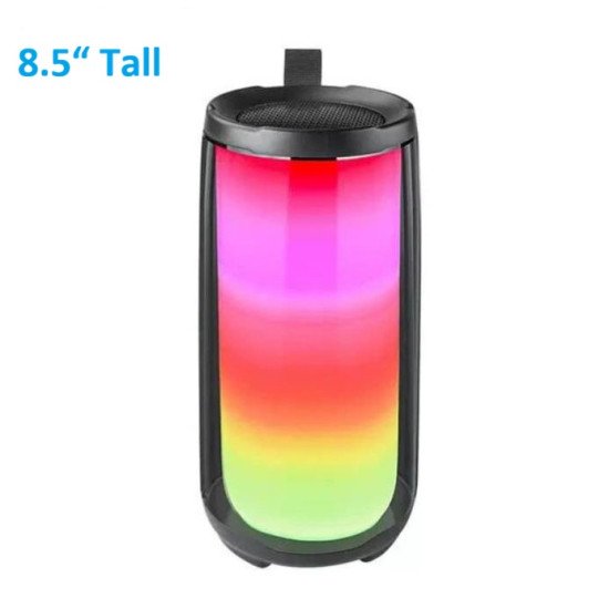 Pluse 5 Large Wireless Speaker (black)