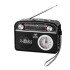 PR-1002BT 3 Band Radio Speaker (black)
