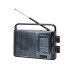 PR-1026 4 Band Radio Speaker (black)
