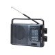 PR-1026 4 Band Radio Speaker (black)