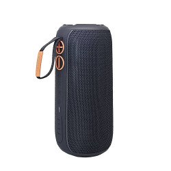 Pro 17 Wireless Speaker (black)