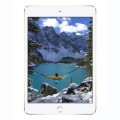 iPad mini 4 5